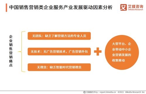 2021上半年中國企業服務專題研究報告 信息咨詢服務的發展與變革